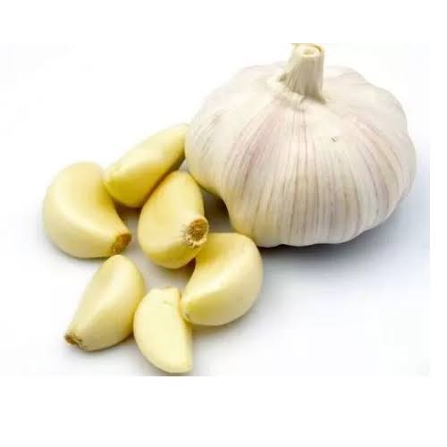 Garlic exporters