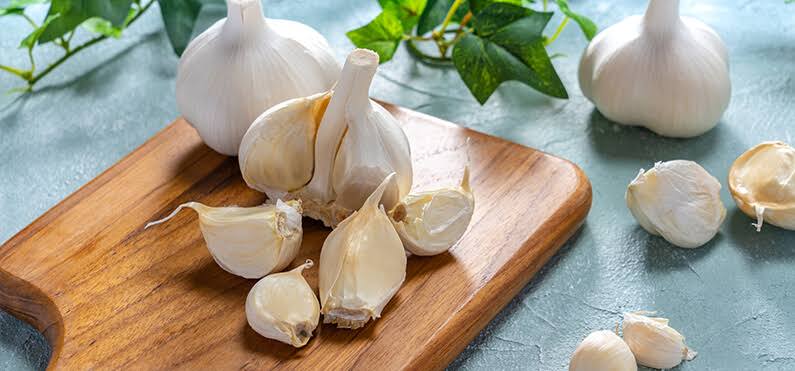 Garlic importer and exporters