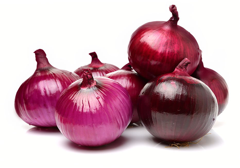 onion suppliers